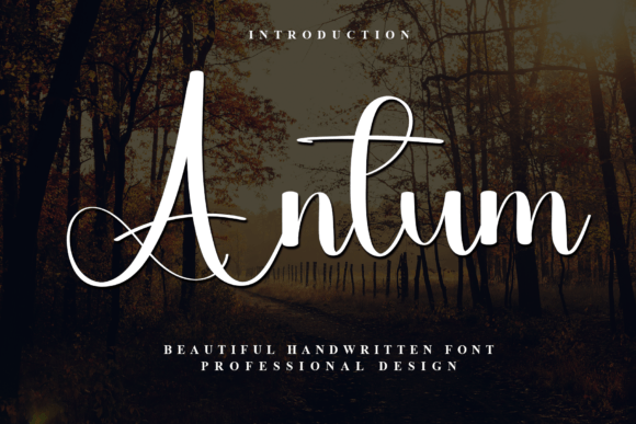 Antum Font - Featured Image