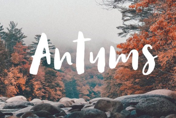Antums Font - Featured Image