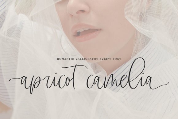 Apricot Camelia Font - Featured Image