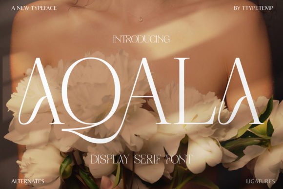 Aqala Font - Featured Image