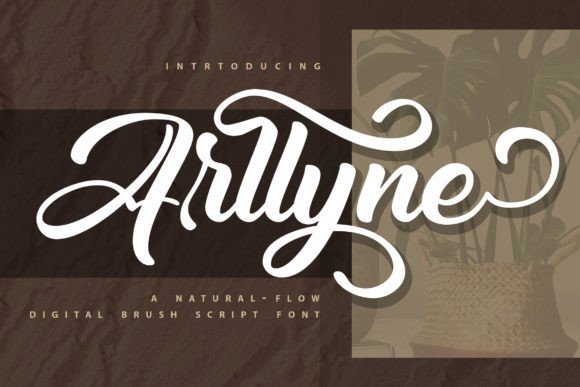 Arllyne Font - Featured Image