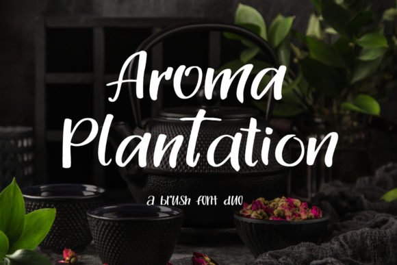 Aroma Plantation Duo Font - Featured Image