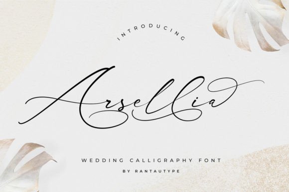 Arsellia Font - Featured Image