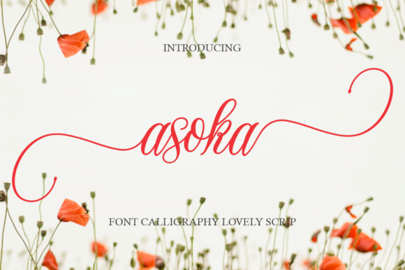 Asoka Font - Featured Image