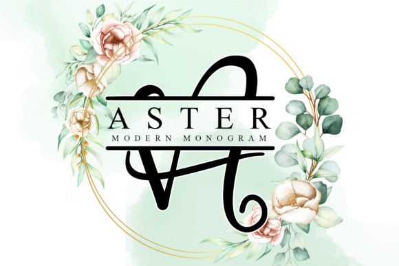 Aster Font - Featured Image