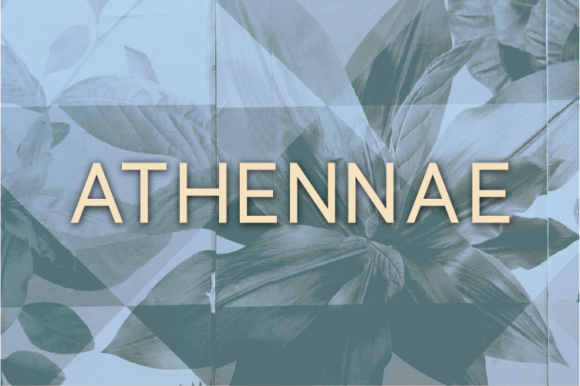Athennae Font - Featured Image
