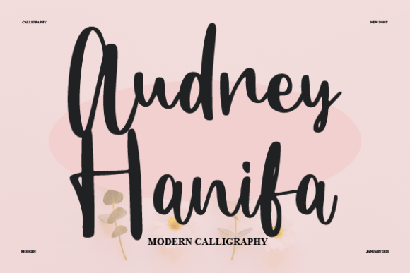 Audrey Hanifa Font - Featured Image