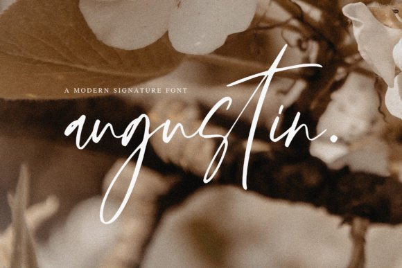 Augustin Font - Featured Image