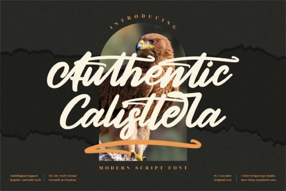 Authentic Calisttera Font - Featured Image