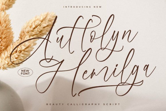 Auttolyn Hemilga Font - Featured Image