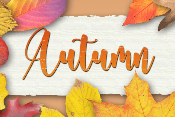 Autumn Font - Featured Image