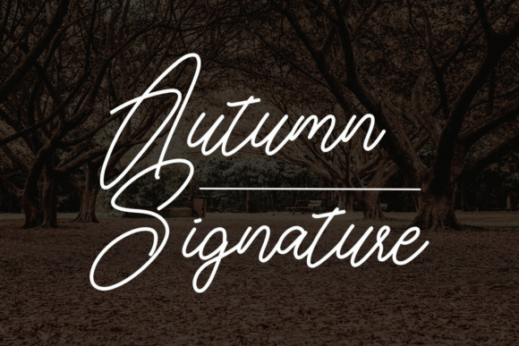 Autumn Signature Font - Featured Image