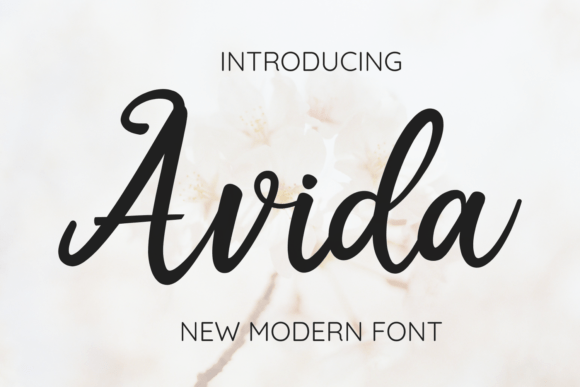 Avida Font - Featured Image