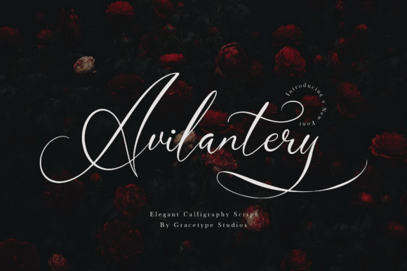 Avilantery Font - Featured Image