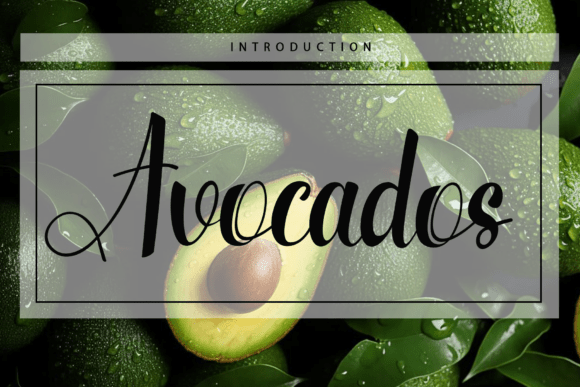 Avocados Font - Featured Image