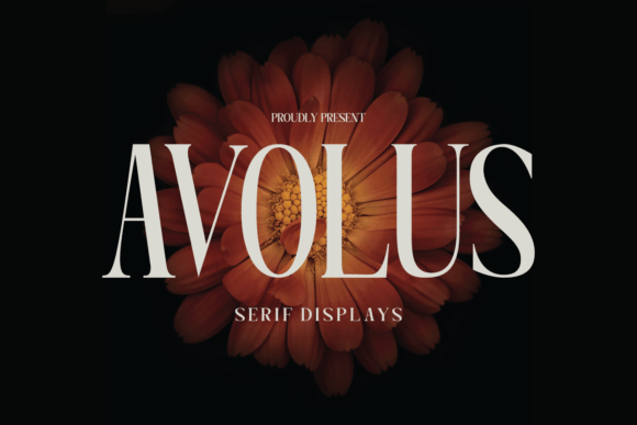 Avolus Font - Featured Image