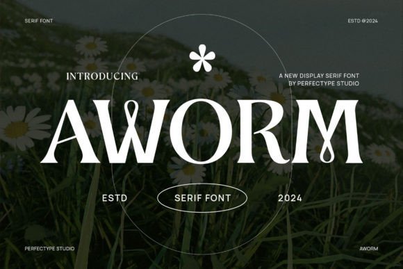 Aworm Font - Featured Image