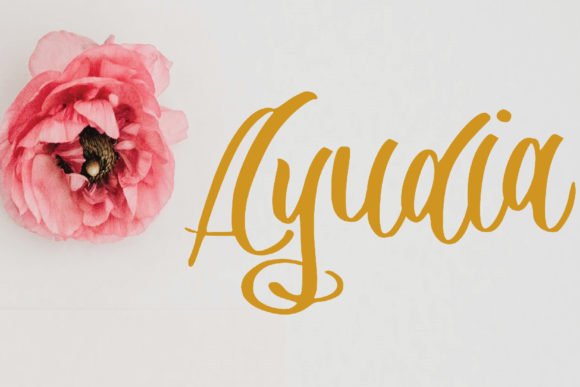 Ayudia Font - Featured Image