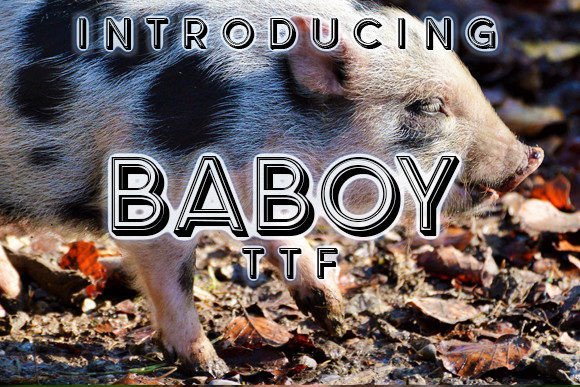 Baboy Font - Featured Image