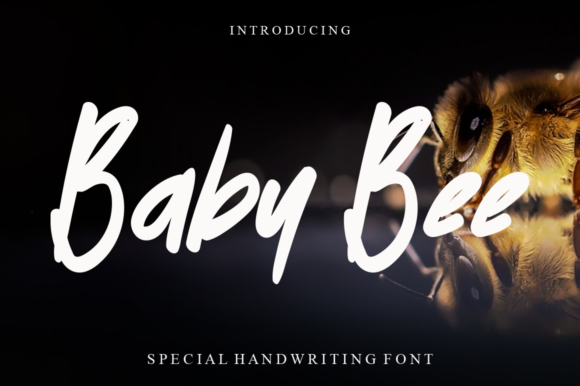 Baby Bee Font - Featured Image