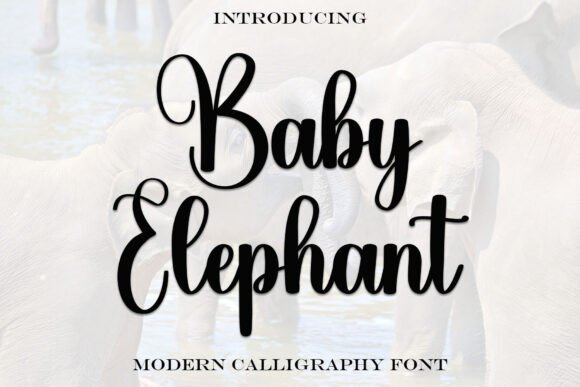 Baby Elephant Font - Featured Image