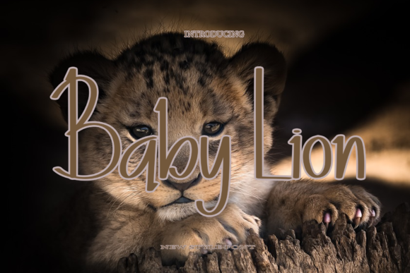 Baby Lion Font - Featured Image