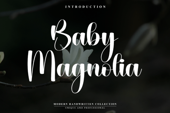 Baby Magnolia Font - Featured Image