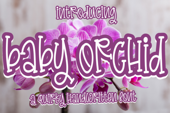 Baby Orchid Font - Featured Image