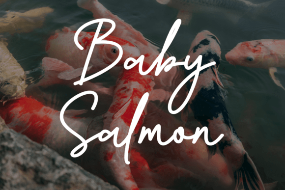 Baby Salmon Font - Featured Image