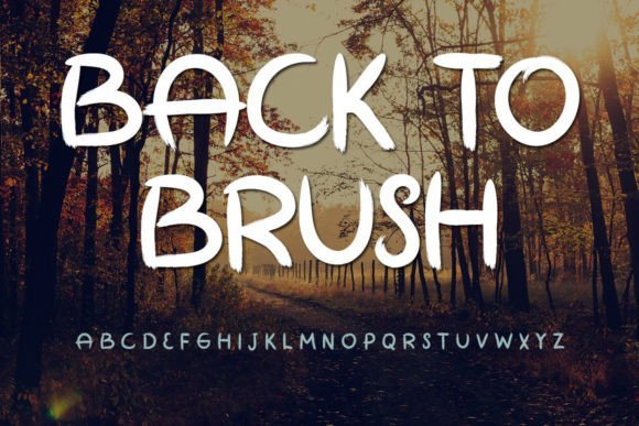 Back to Brush Font - Featured Image