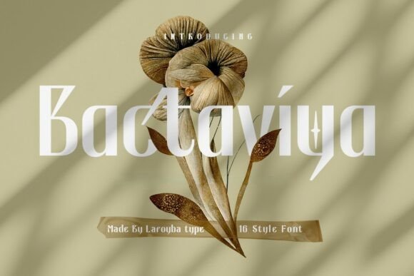 Bactaviya Font - Featured Image