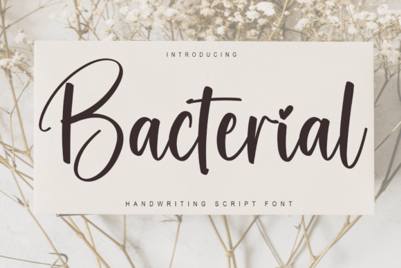 Bacterial Font - Featured Image