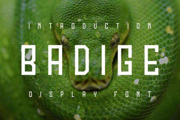 Badige Font - Featured Image