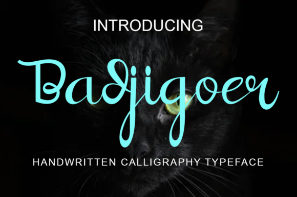 Badjigoer Font - Featured Image