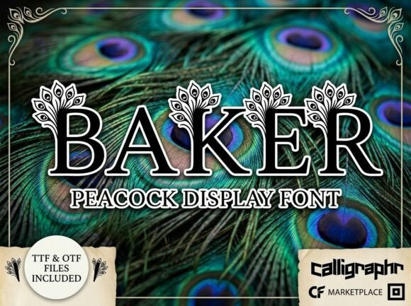 Baker Font - Featured Image