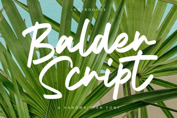 Balder Script Font - Featured Image