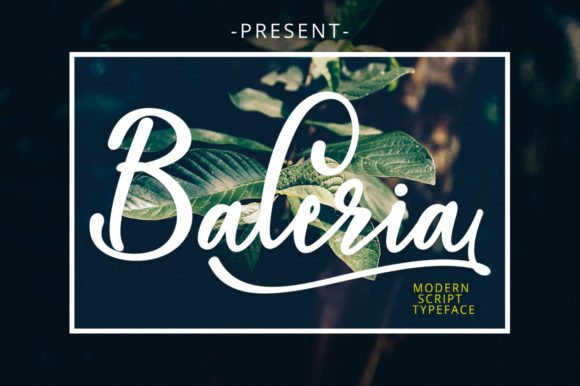 Baleria Script Font - Featured Image