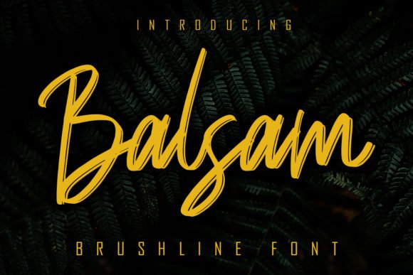 Balsam Font - Featured Image