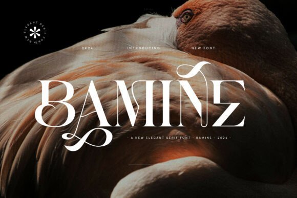 Bamine Font - Featured Image