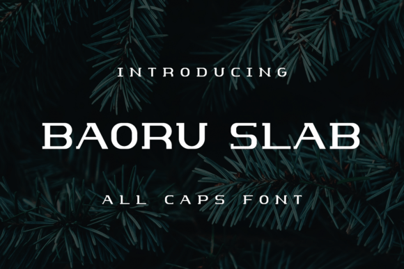 Baoru Slab Font - Featured Image