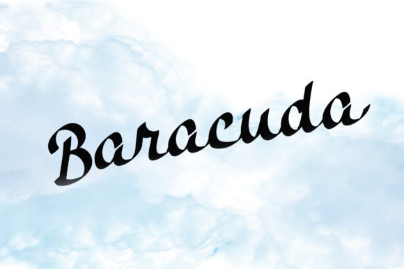 Baracuda Font - Featured Image