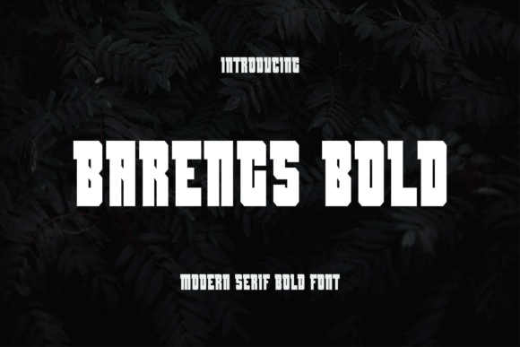 Barengs Font - Featured Image