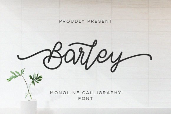 Barley Font - Featured Image