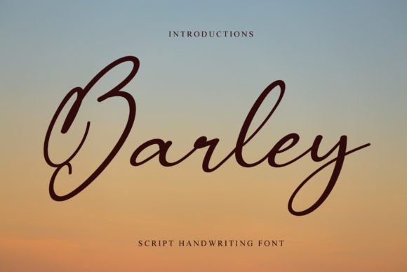 Barley Font - Featured Image