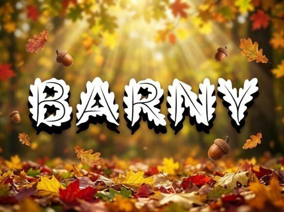 Barny Font - Featured Image