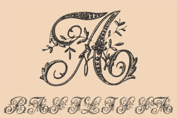 Basilissa Font - Featured Image