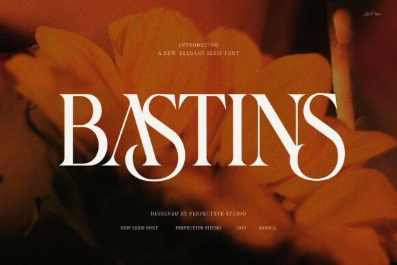 Bastins Font - Featured Image