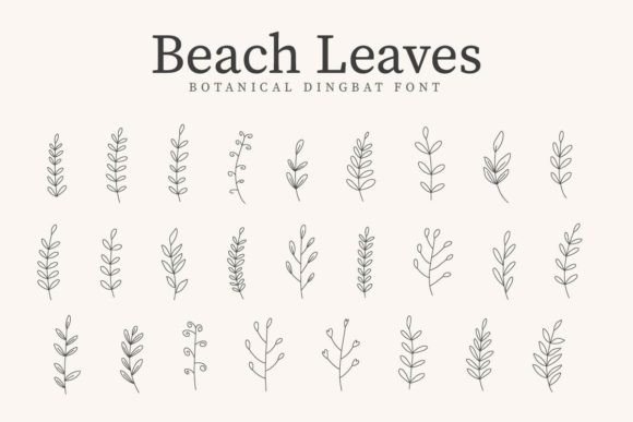 Beach Leaves Font - Featured Image