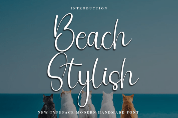 Beach Stylish Font - Featured Image