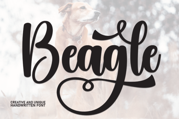 Beagle Font - Featured Image